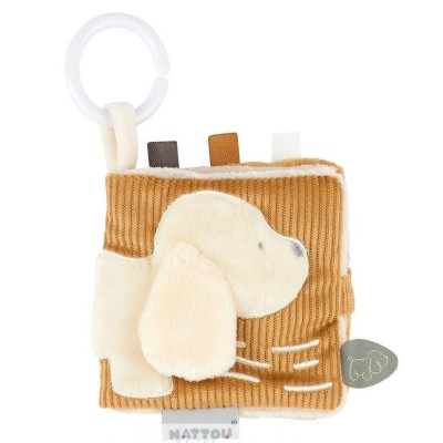 NA Carte de activități