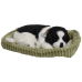 Jucarie interactiva,,Border Collie"