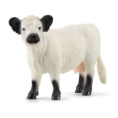 SCHL Галловейская корова