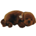 Perfect Petzzz Интерактивная игрушка "Шоколадный лабрадор"