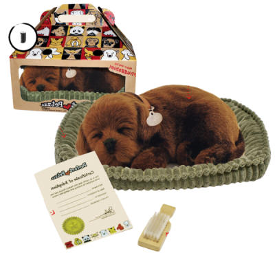 Perfect Petzzz Интерактивная игрушка "Шоколадный лабрадор"