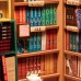Robotime Constructor din lemn "Librărie"