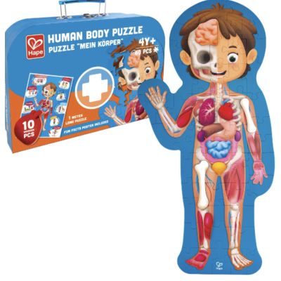 Hape Пазл ''Человеческое тело''
